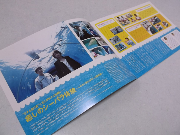 䂸 vol.41