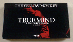 TRUE MIND `TOUR '95-'96 FOR SEASON:in motion` / CG[EL[