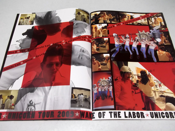 ユニコーン2009ツアーパンフ【蘇る勤労 +カタログ&テープ付】の通販