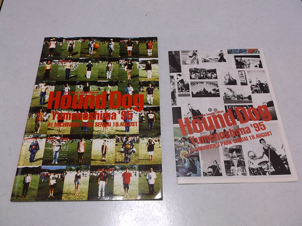 �n�E���h�h�b�O���̓�1995