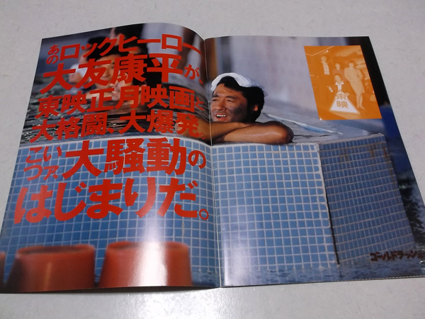 �S�[���h���b�V���f��p���t3