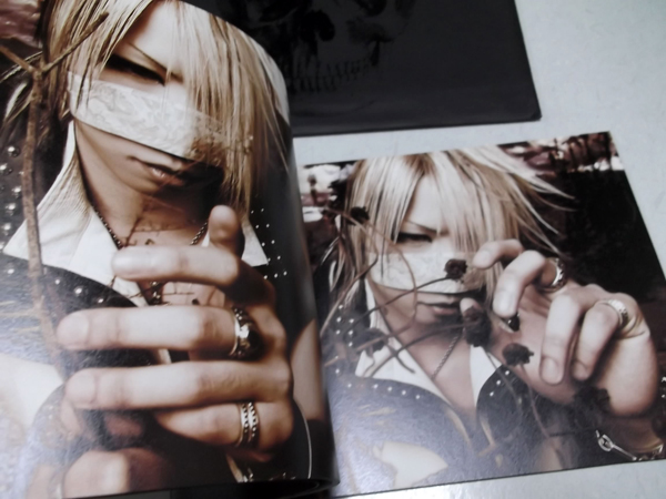 the GazettE2007