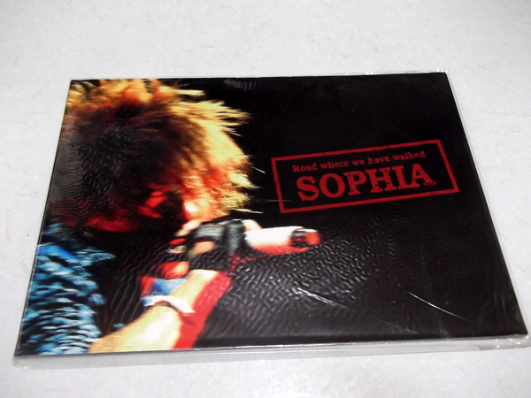 Road where we have walked