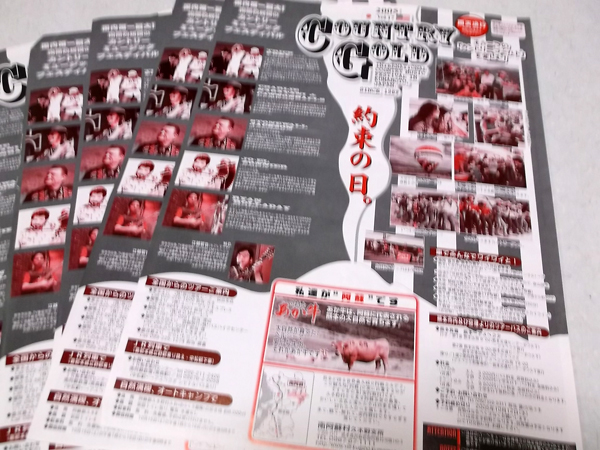 �J���g���[�S�[���h2005�p���t�y�񑩂̓��z�̒ʔ�