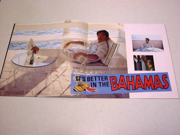 ���������`�c�A�[�p���t�y���[�����C�g�E�����f�u�[�z�̒ʔ�