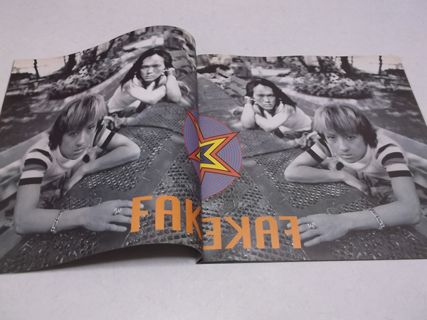 FAKE STAR'S CIRCUIT2