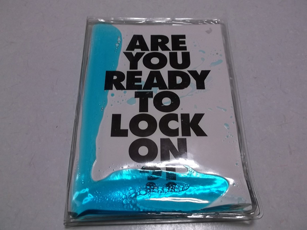 �K�[�l�b�g�N���E08