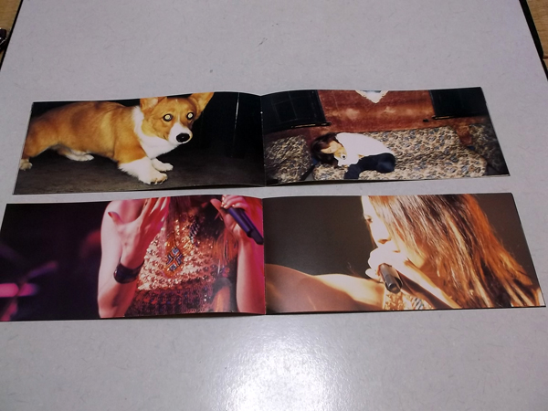 �单���G20033