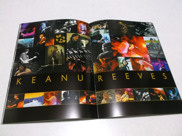 �h�b�O�X�^�[982