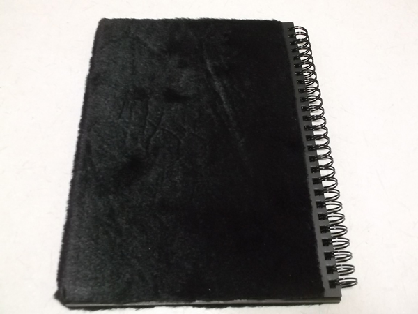 真昼の月と真夜中の太陽3