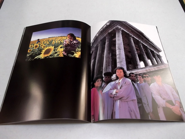 �V���v���}�C���Y862